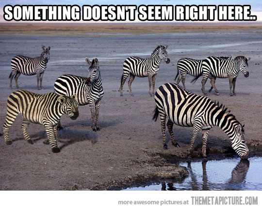Something Doesn't Seem Right Here Funny Camouflage Meme Picture For Facebook