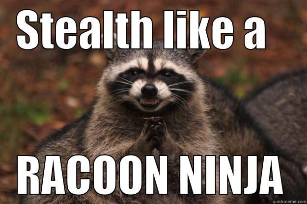 Stealth Like A Racoon Ninja Funny Meme Picture