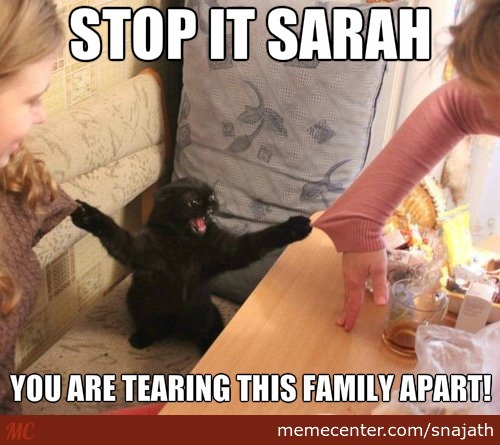 Stop It Sarah You Are Tearing This Family Apart Funny Shit Meme Picture