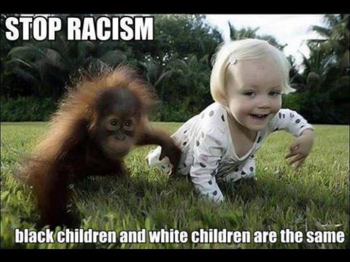 Stop Racism Black Children And White Children Are The Same Funny Stop Meme Image