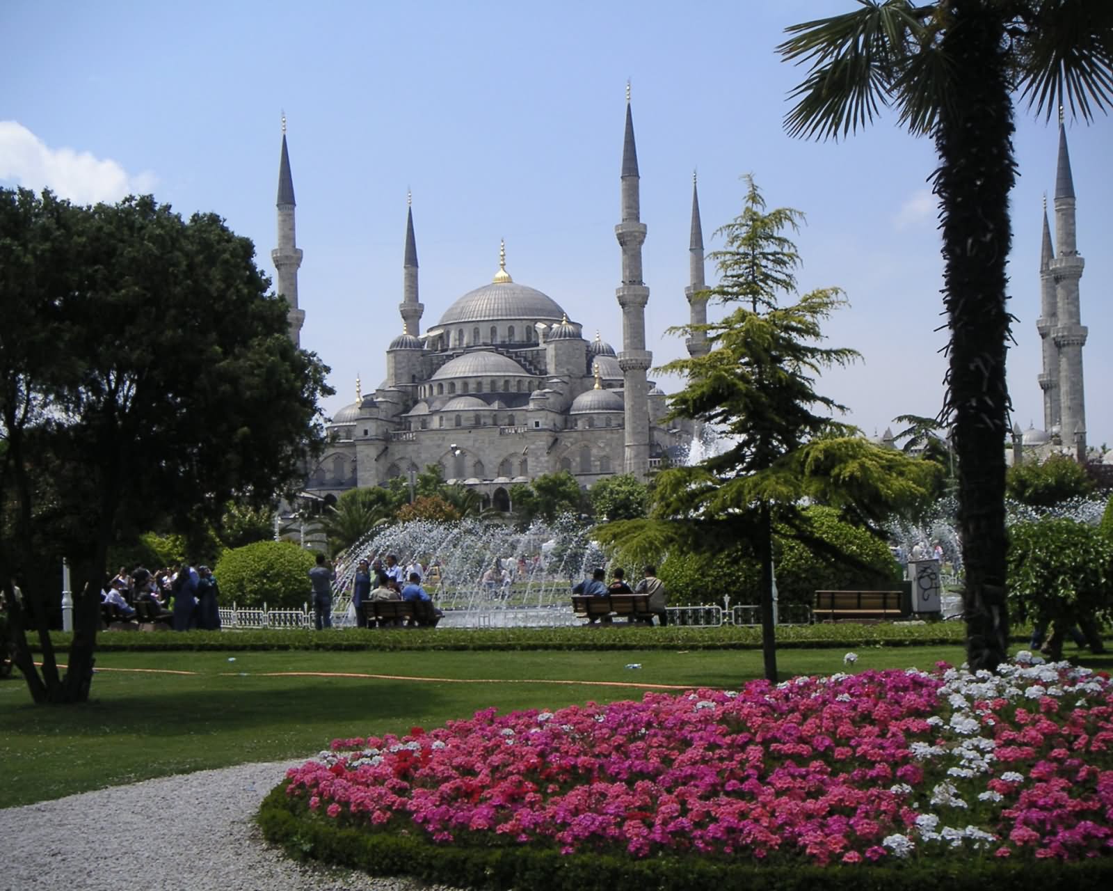 Sultan Ahmad Or Blue Mosque View From Park In Turkey