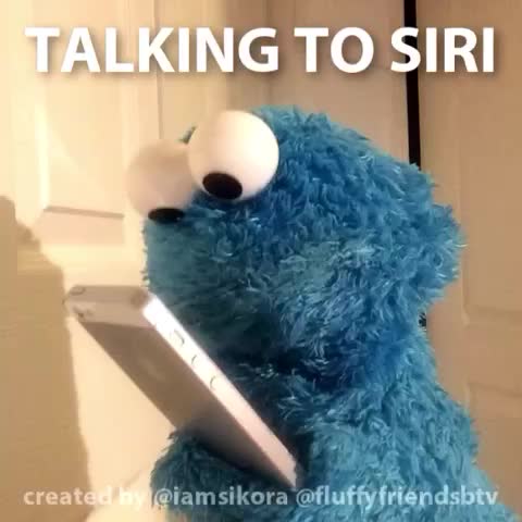Talking To Siri Funny Puppet Meme Picture