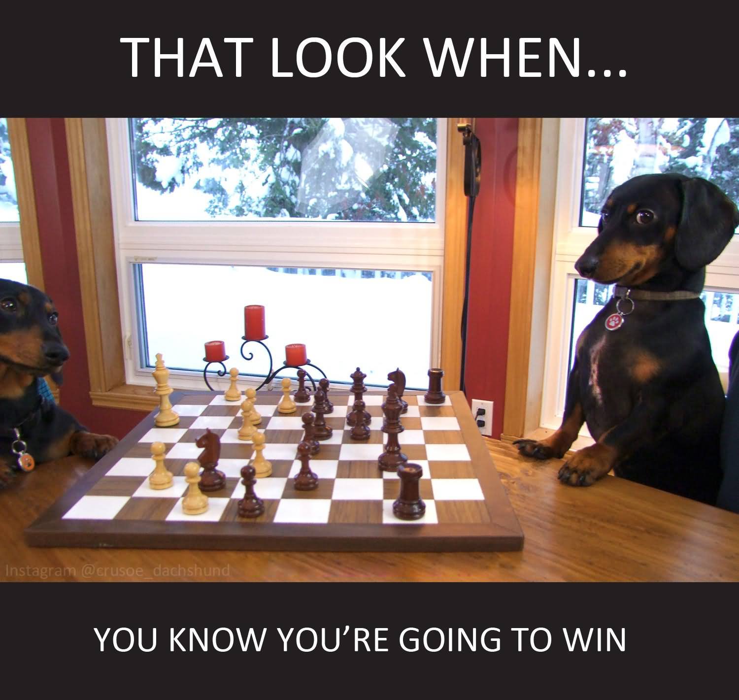 That Look When You Know You Are Going To Win Funny Chess Meme Image