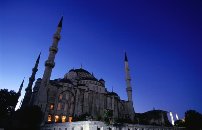 The Blue Mosque At Night Picture