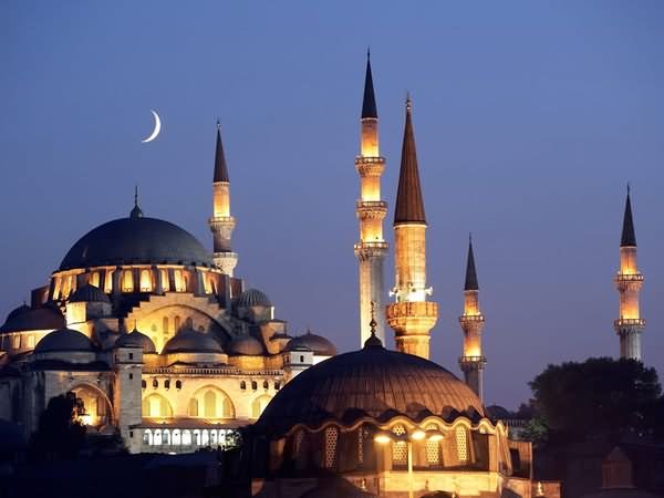 The Blue Mosque At Night With Moon Picture