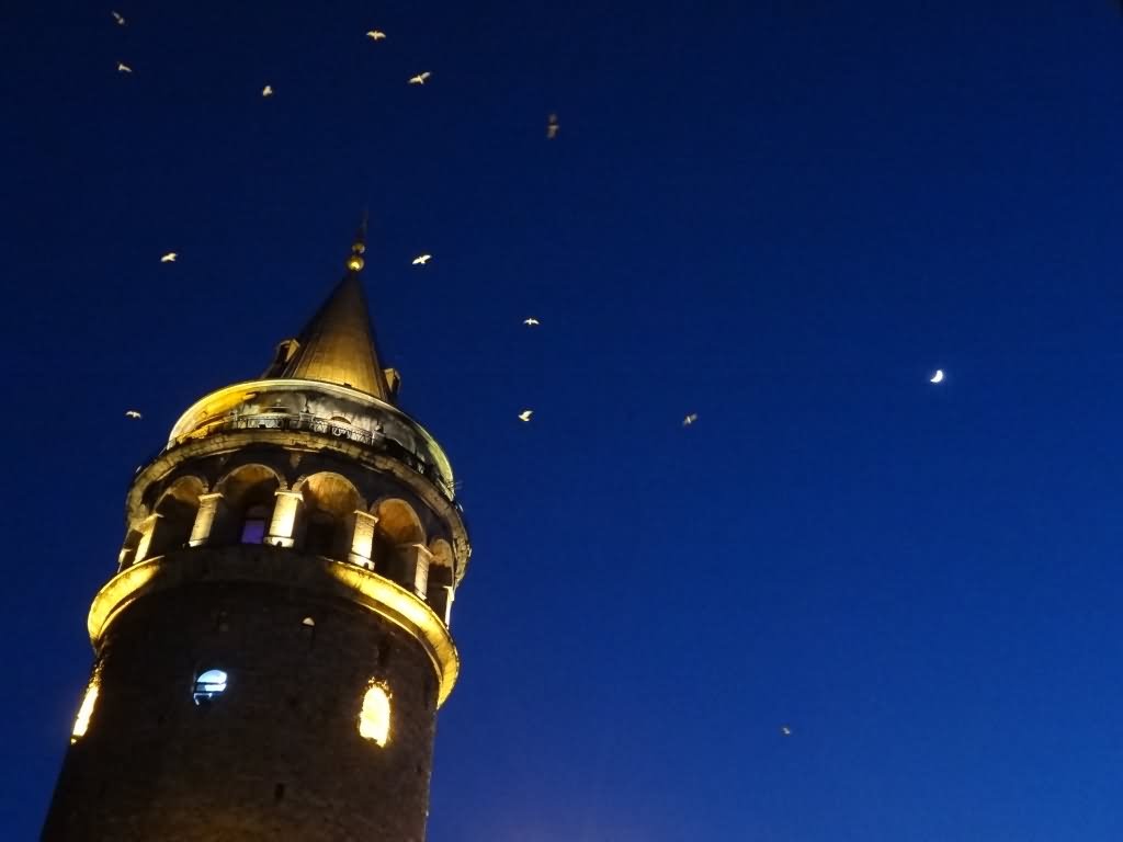 The Galata Tower Illuminated At Night