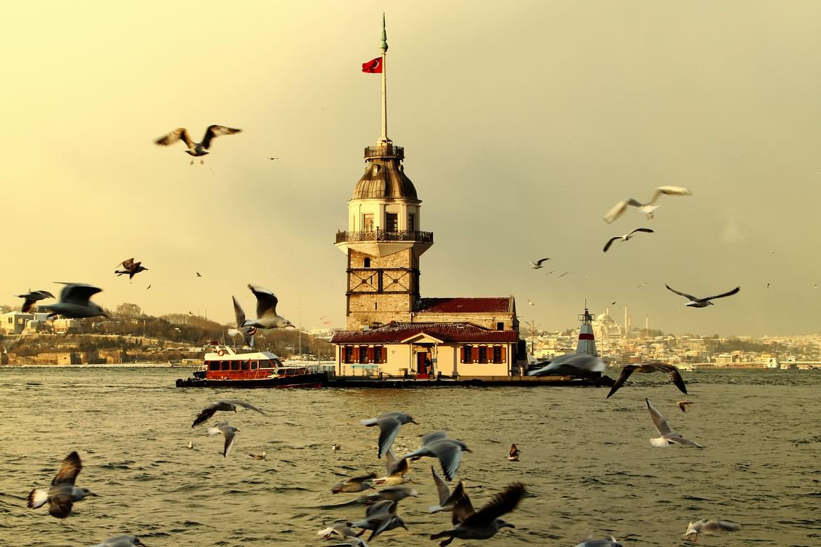 The Maiden's Tower With Flying Birds Picture