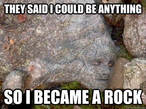 They Said I Could be Anything so I became A Rock Funny Camouflage Meme Picture