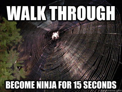 Walk Through Become Ninja For 15 Seconds Funny Ninja Meme Picture