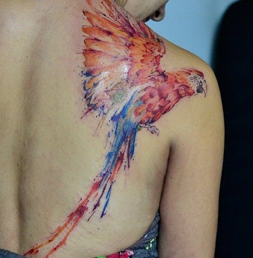 Watercolor Parrot Tattoo On Girl Right Back Shoulder