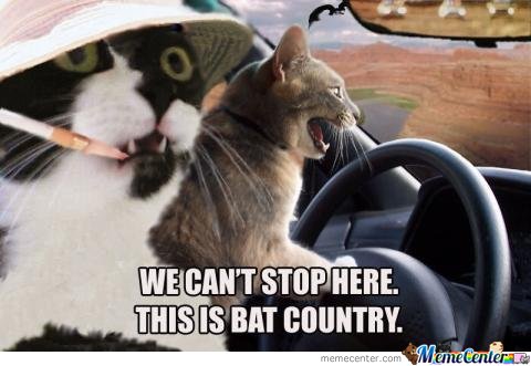 We Can't Stop Here This Bat Country Funny Stop Meme Image
