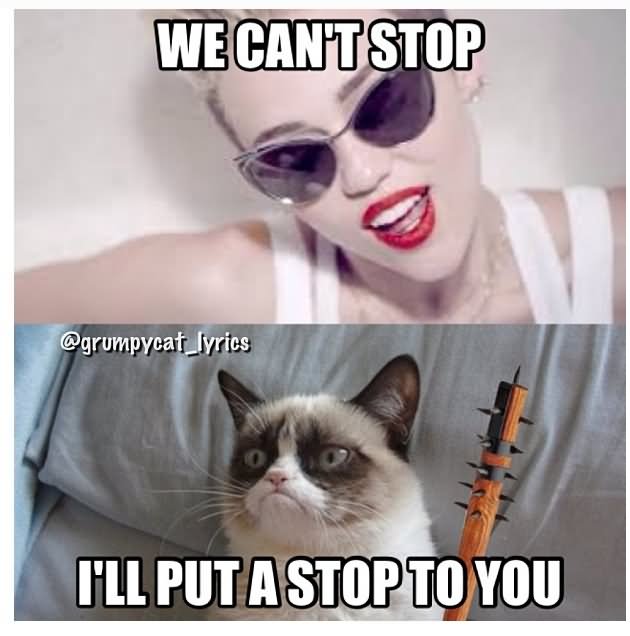 We Can't Stop I Will Put A Stop To You Funny Stop Meme Image
