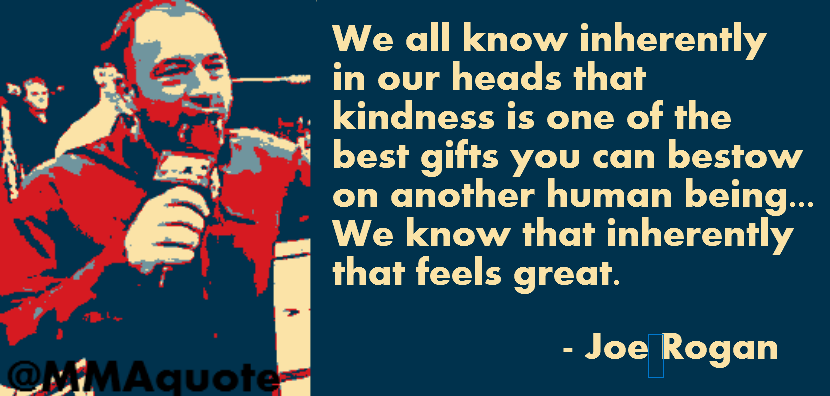 We all know inherently in our heads that kindness is one of the best gifts you can bestow on another human being... we know that inherently that feels great  - Joe Rogan
