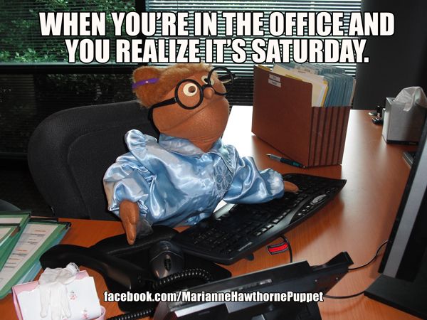 When You Are In The Office And You Realize It's Saturday Funny Puppet Meme Picture