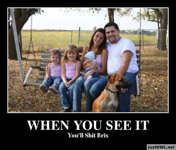 When You See It You Will Brix Funny Wtf Meme Image