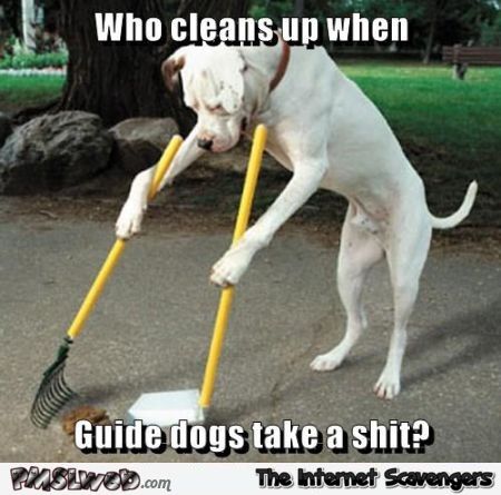 Who Cleans Up When Guide Dogs Take A Shit Funny Shit Meme Picture