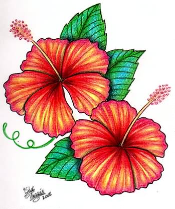 Wonderful Hibiscus Flowers Tattoo Design By Mad Mike Dowis