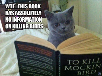 Wtf This Book Has Absolutely No Information On Killing Birds Funny Wtf Meme Image