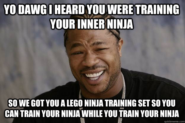 Yo Dawg I Heard You Were Training Your Inner Ninja Funny Photo