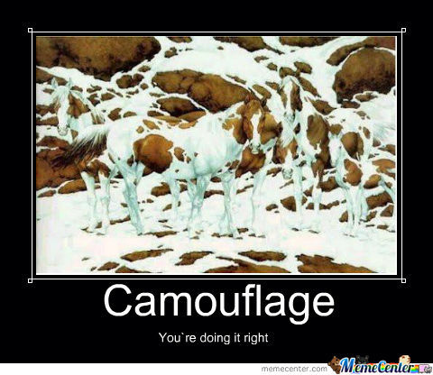 You Are Doing It Right Funny Camouflage Meme Photo