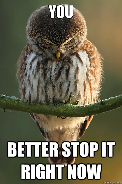 You Better Stop It Right Now Funny Stop Meme Image