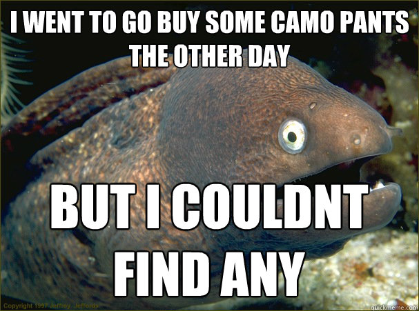 I Went To Go Buy Some Camo Pants The Other Day Funny Camouflage Meme Picture