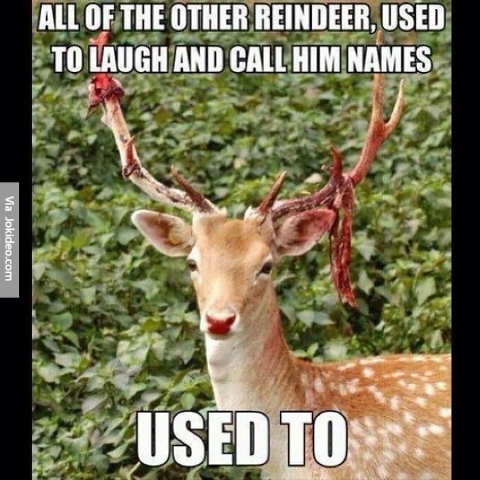 All Of The Other Reindeer Used To Laugh And Call Him Names Used To Funny Meme Photo