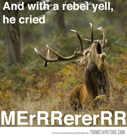 And With A Rebel Yell He Cried Funny Reindeer Meme Picture