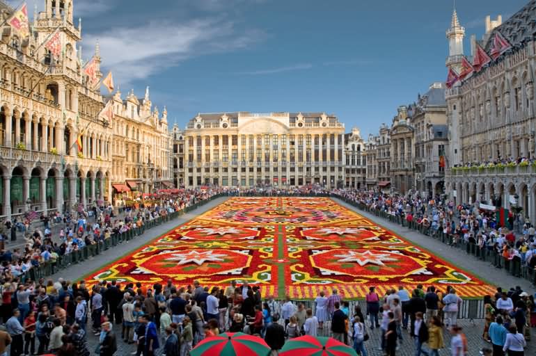 Beautiful Flower Carpet At The Grand Place In Brussels
