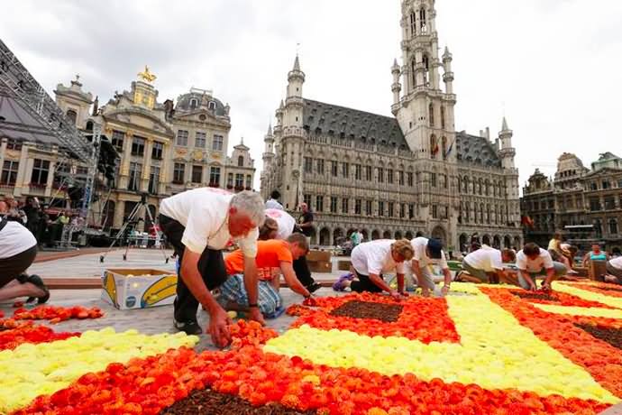 Beautiful Flowers Carpet At Grand Place In Brussels, Belgium