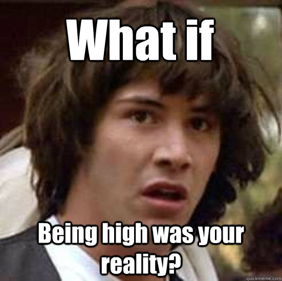 Being High Was Your Reality Funny High Meme Picture