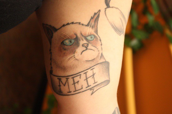 Blue Eyes Grumpy Cat Head Tattoo On Bicep