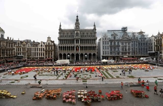 Decorating Grand Place With Flowers Carpet Picture