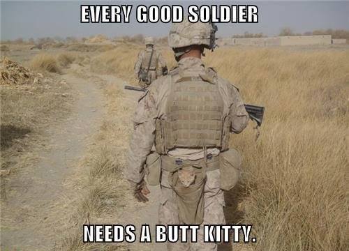 Funny Army Meme Every Good Soldier Needs A Butt Kitty Funny Army Meme Image