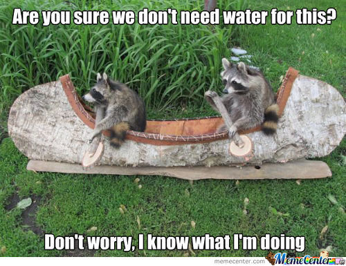 Funny Canoeing Meme Are You We Don't Need Water For This Picture