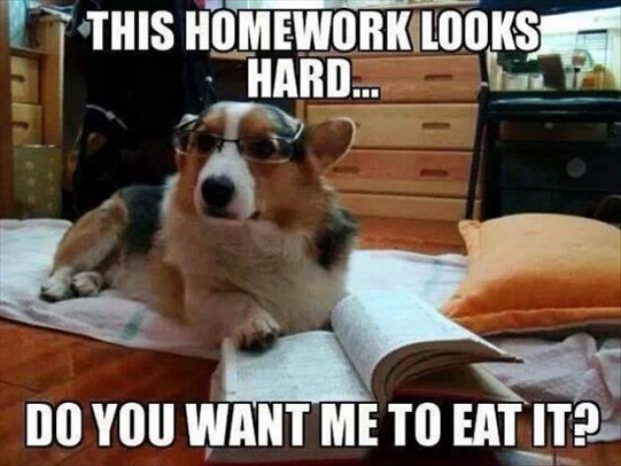 Funny Homework Meme This Homework Looks Hard Do You Want Me To Eat It Image