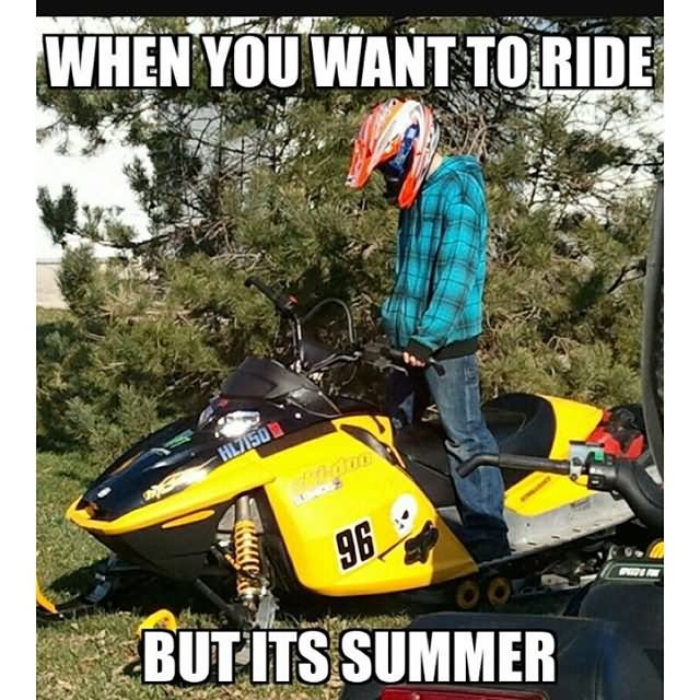 Funny Sled Meme When You Want To Ride But Its Summer Photo