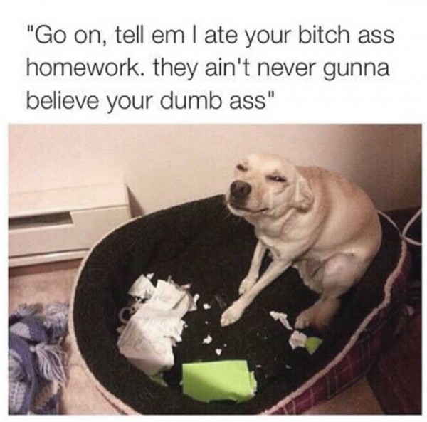 Go On Tell Em I Ate Your Bitch Ass Homework They Ain't Never Gunna Believe Your Dumb Ass Funny Meme Image