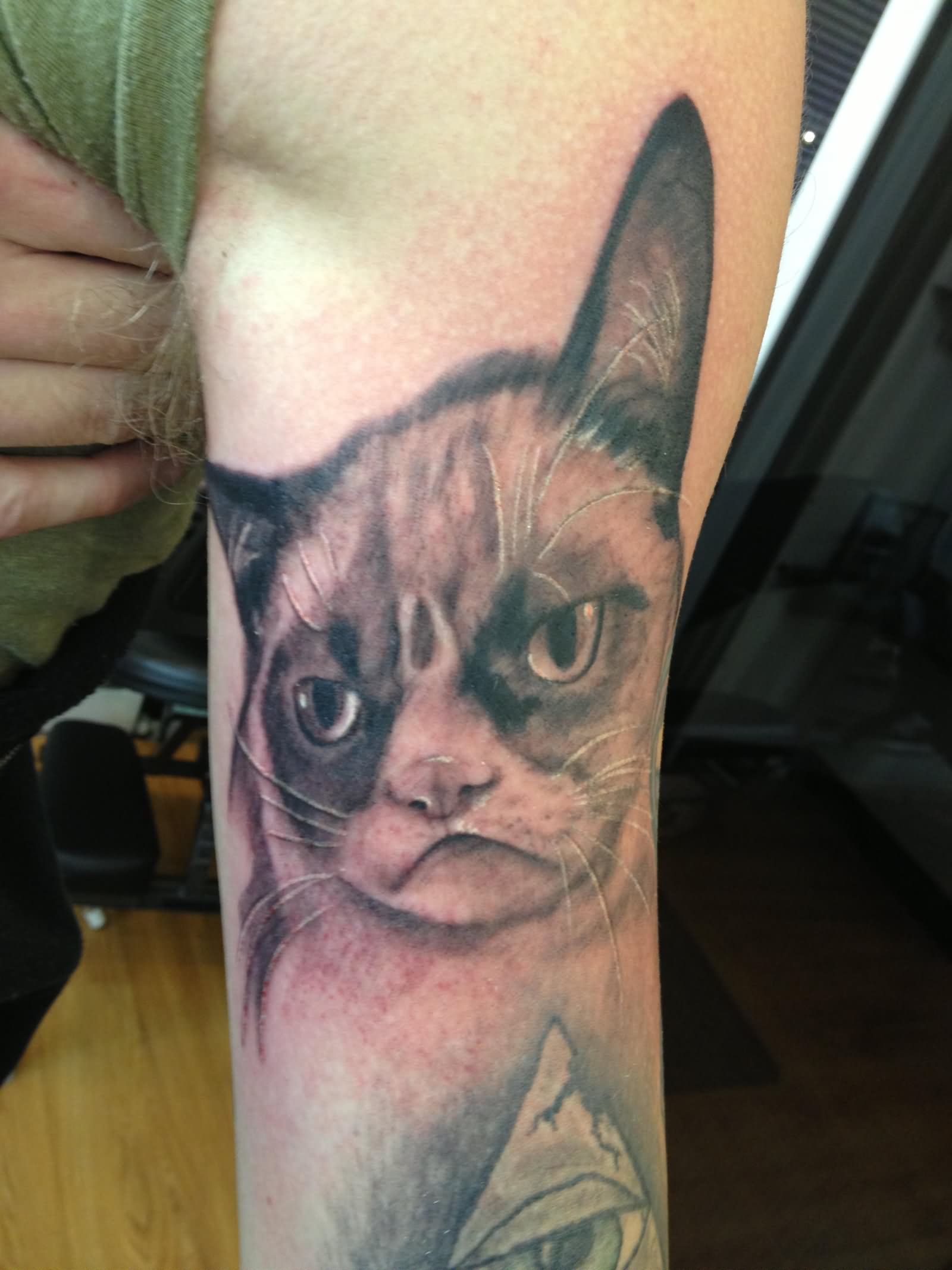 Grey Ink Grumpy Cat Tattoo On Inner Bicep