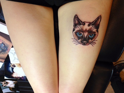 Grumpy Cat Tattoo Head Tattoo On Left Thigh