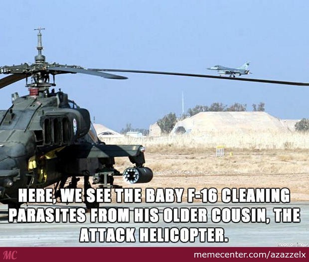 Here We See The Baby F-16 Cleaning Parasites From His Older Cousin The Attack Helicopter Funny Army Meme Picture