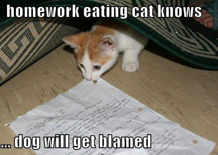 Homework Eating Cat Knows Dog Will Get Blamed Funny Meme Image