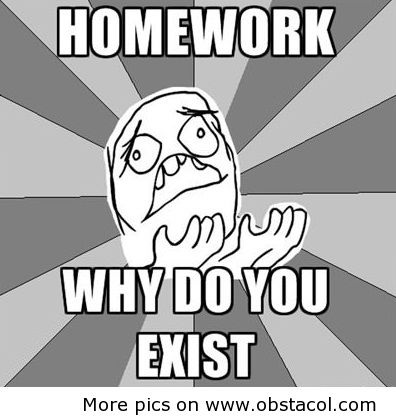 Homework Why Do You Exist Funny Meme Image
