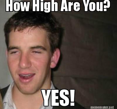 How High Are You Yes Funny High Meme Photo