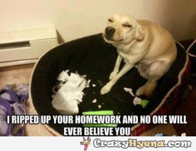 I Ripped Up Your Homework And No One Will Ever Believe You Funny Homework Meme Image