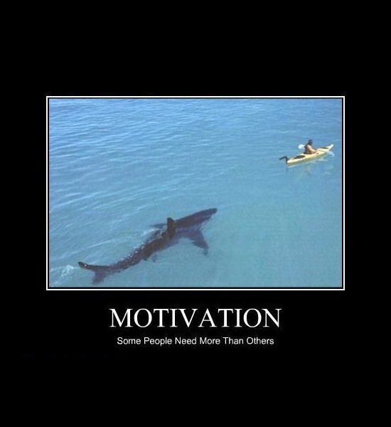 Motivation Some People Need More Than Others Funny Canoeing Meme Picture