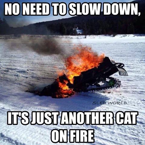 No Need To Slow Down It's Just Another Cat On Fire Funny Sled Meme Image