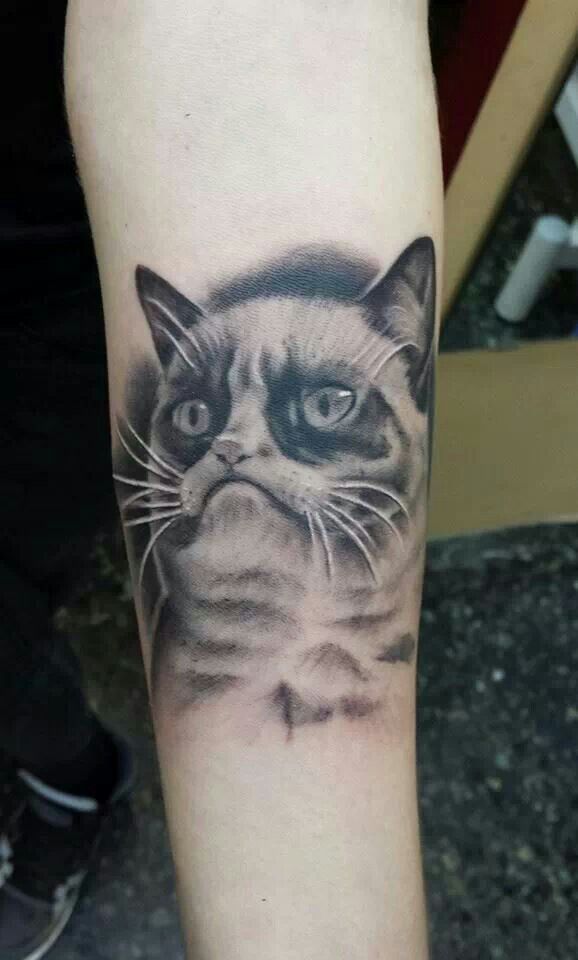 Realistic Grey Ink Grumpy Cat Tattoo On Arm by Atomic Tattoo