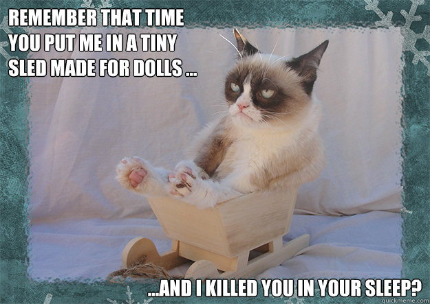 Remember That Time You Put Me In A Tiny Sled Made For Dolls Funny Sled Meme Picture