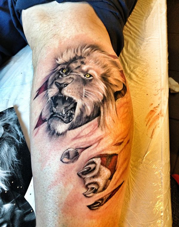 Ripped Skin 3D Lion Tattoo On Left Leg Calf
